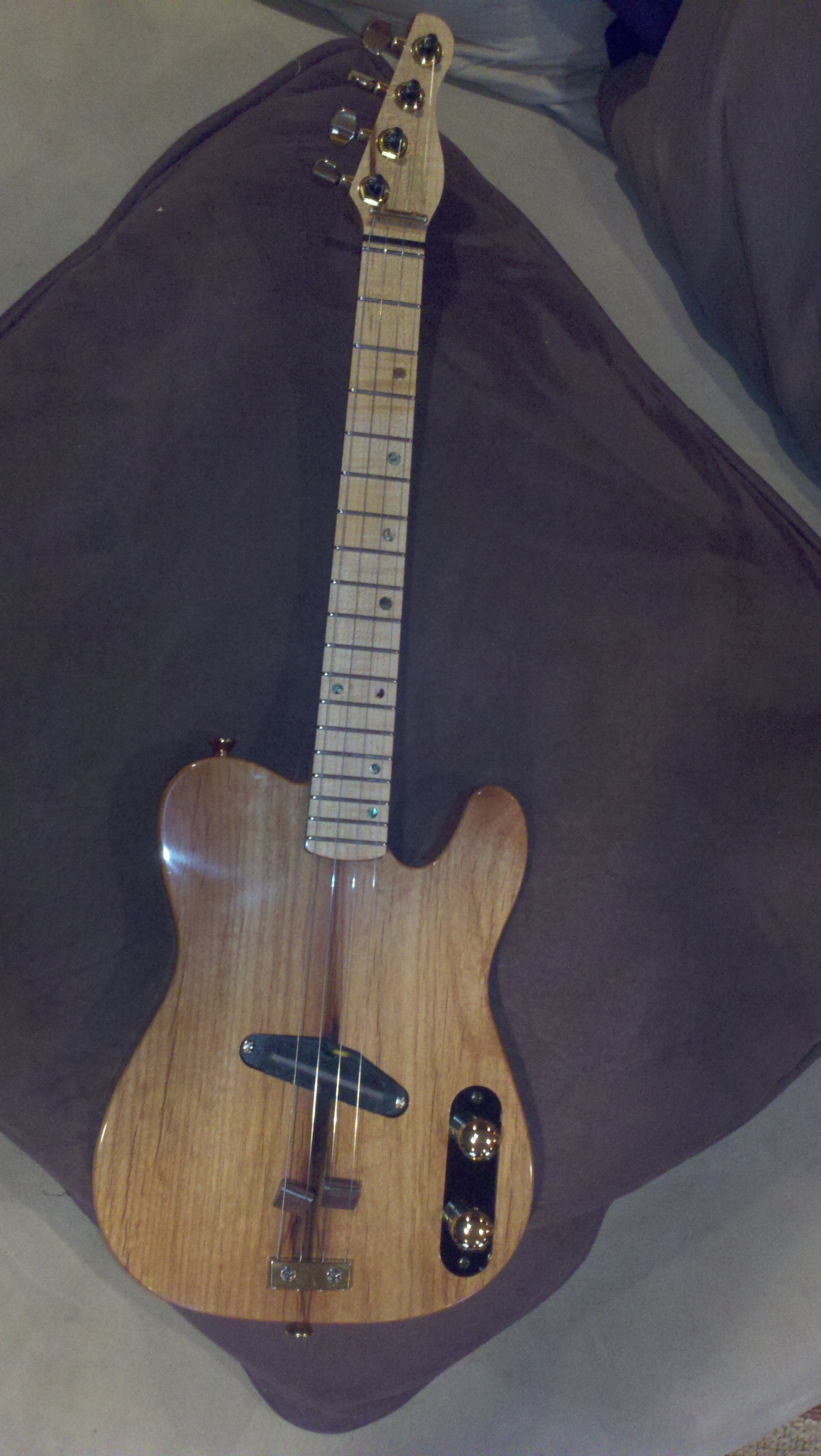 electric ukulele Ukulele Guy